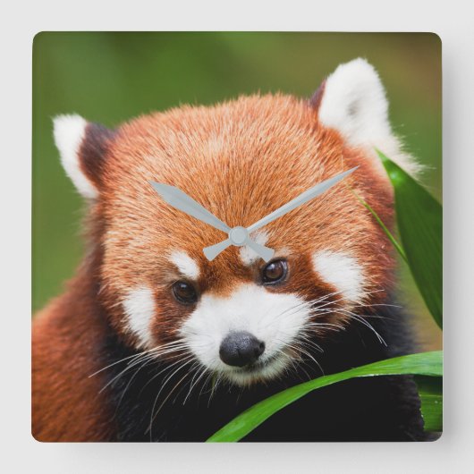 カウトレッドパンダ スクエア壁時計 (正面)