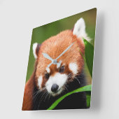 カウトレッドパンダ スクエア壁時計 (傾斜)