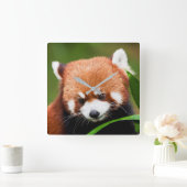 カウトレッドパンダ スクエア壁時計 (ホーム)