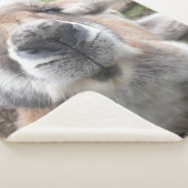 カウト顔カンガルーおもしろいかわいい動物オーストラリア シェルパブランケット (3/4)