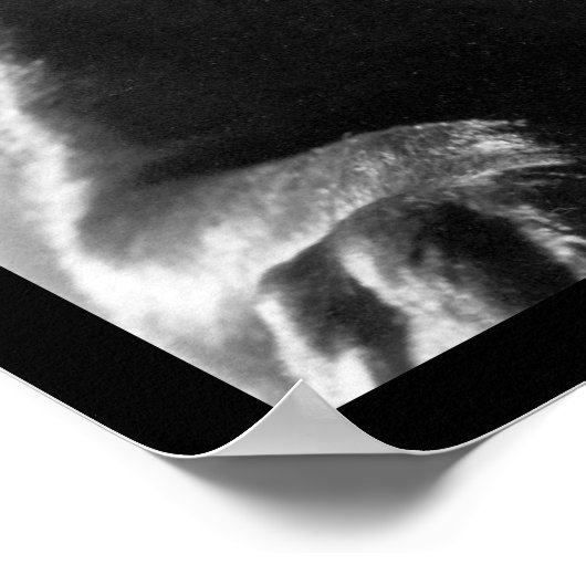 カウドッグ ポスター (角)