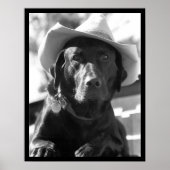 カウドッグ ポスター (正面)