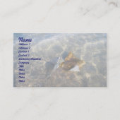 カウノーズスティングレイOBXシリーズ名刺 名刺 (正面)