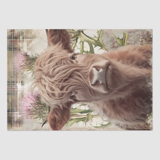 カウハイランドスコットランドティスルの水色 薄葉紙 (正面)