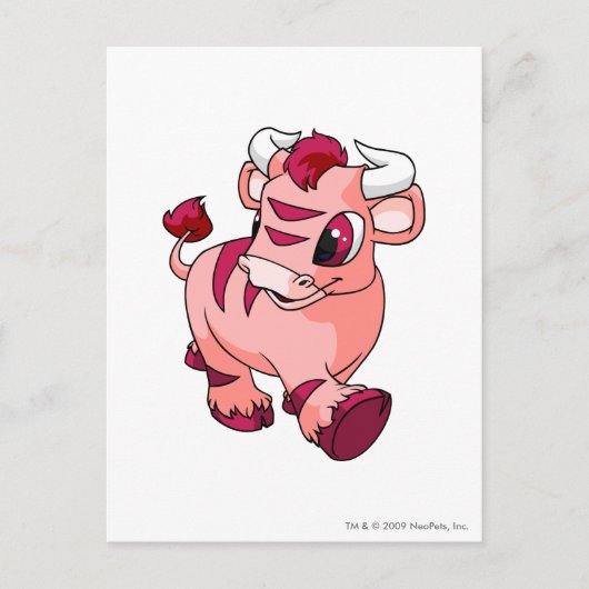 カウピンク ポストカード (正面)