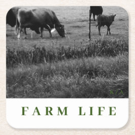 カウファミリーテーマ飲み物用コースター スクエアペーパーコースター