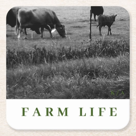 カウファミリーテーマ飲み物用コースター スクエアペーパーコースター (正面)