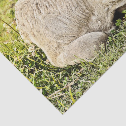 カウファーム国素朴の切り離し 薄葉紙 (詳細)