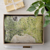 カウファーム国素朴の切り離し 薄葉紙 (ギフト)