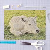 カウファーム国素朴の切り離し 薄葉紙 (クラフト)