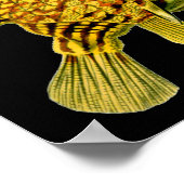 カウフィッストライプのグエルンストヘッケルファインアート ポスター (角)