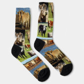 カウフォトコラージュ、クルーソックス ソックス (右)