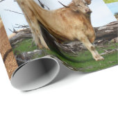 カウフォトコラージュ、 ラッピングペーパー (ロールコーナー)