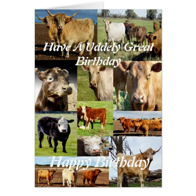 カウフォトコラージュ、優しい素晴らし誕生日 (正面)