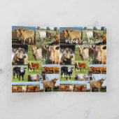 カウフォトコラージュ、誕生日 カード (内部)