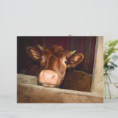 カウブラウン素朴カントリーバーンファおもしろいーム (スタンド正面)