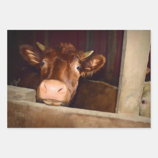 カウブラウン素朴カントリーバーンファおもしろいーム ラッピングペーパーシート (正面2)