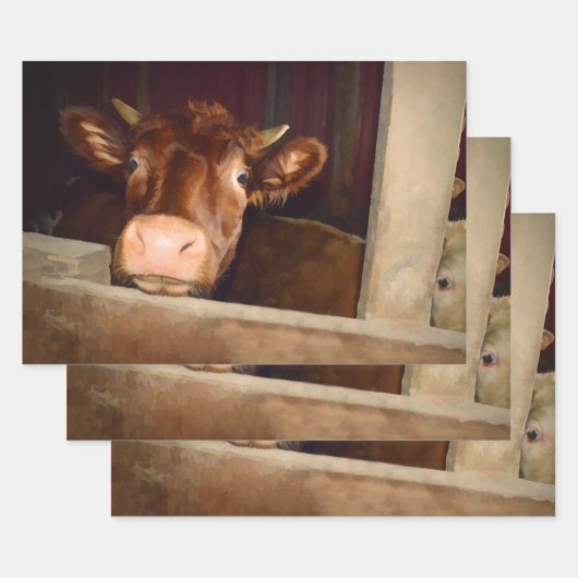 カウブラウン素朴カントリーバーンファおもしろいーム ラッピングペーパーシート (セット)