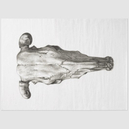 カウブルスカルデコペヴィンテージファームランチ 薄葉紙 (正面)