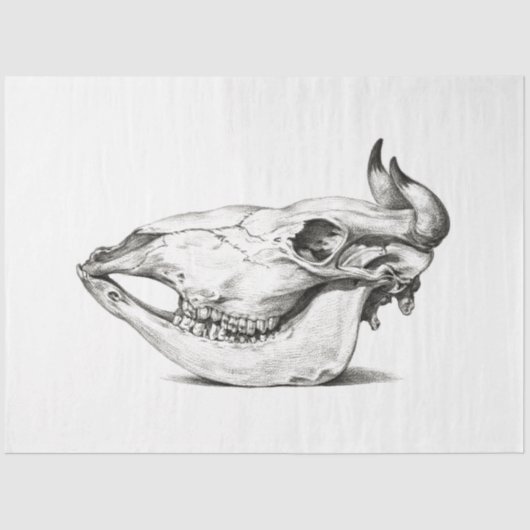 カウブルスカル側デクページヴィンテージファームランチ 薄葉紙 (正面)