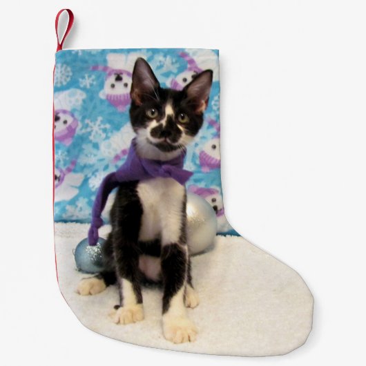 カウボーイかわいい猫クリスマスストッキング スモールクリスマスストッキング (正面)