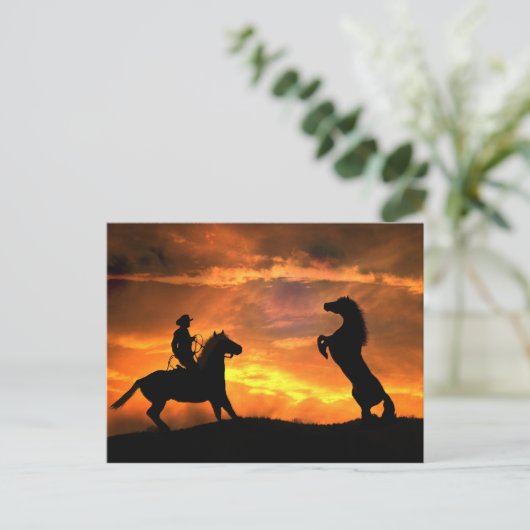 カウボーイとワイルドホース飼育カントリーウェスタン ポストカード (スタンド正面)