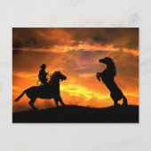 カウボーイとワイルドホース飼育カントリーウェスタン ポストカード (正面)