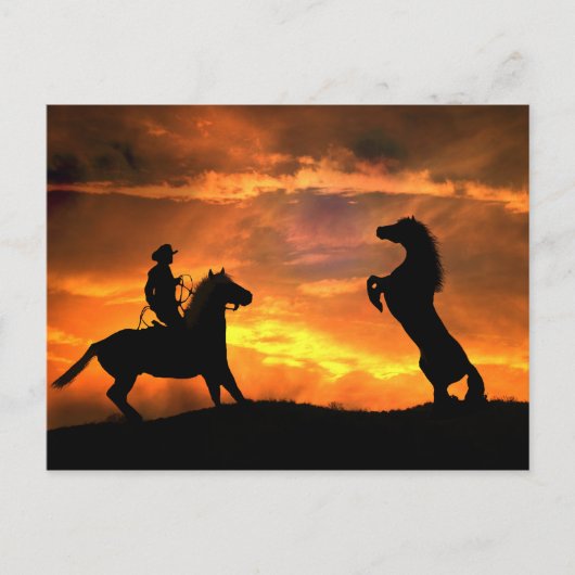カウボーイとワイルドホース飼育カントリーウェスタン ポストカード (正面)
