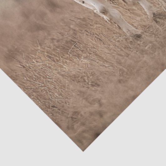 カウボーイと息子の手を牛と切り離す 薄葉紙 (詳細)