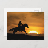 カウボーイと競馬サンダウン ポストカード (正面/裏面)