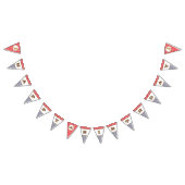 カウボーイのハッピーバースデーの旗のペイズリーのギンガム バンティングフラッグ (全)