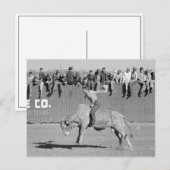 カウボーイのロデオ闘牛士 1940 ポストカード (正面/裏面)