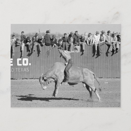 カウボーイのロデオ闘牛士 1940 ポストカード (正面)