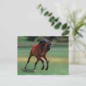 カウボーイのロデオ馬 ポストカード (スタンド正面)