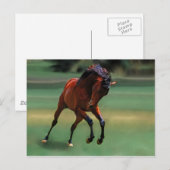 カウボーイのロデオ馬 ポストカード (正面/裏面)