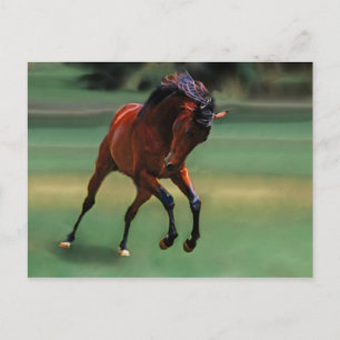 カウボーイのロデオ馬 ポストカード