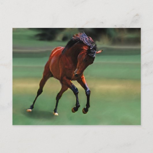 カウボーイのロデオ馬 ポストカード (正面)