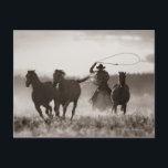 カウボーイの白と黒の写真Lassoing Horses ポストカード<br><div class="desc">カウボーイは馬をラズニング。著作権：デザイン写真/ Richard衣服_x000D_ _x000D_ Cowboyは北アメリカの牧場で牛の世話をする動物の飼育者で、伝統的に馬に乗って、その他の牧場に関するタスクを頻繁に実行する。19世紀後半の歴史的なアメリカのカウボーイは、北メキシコのバケロの伝統から生まれ、特別な意味と伝説の姿となった。ウラングラーと呼ばれるサブタイプは、特に牛を働くために使用される馬の傾向がある。牧場の仕事に加えて、ロデオに働いたり参加したりするカウボーイもいる。女性のカーボーイは19世紀後半に初めてそのように定義され、あまり記録されていない歴史的な役割を持っていたが、世界ではモダン、実質的に同一の作業で作業する能力を確立し、その業績に対して非常に敬意を払っている。世界の他の多くの地域、特に南アメリカやオーストラリアでは、それぞれの国でカウボーイに似た仕事をする牛の飼育員がいる。_x000D_カウボーイはスペインとアメリカ大陸の最初のヨーロッパの入植者に戻ってトレースする深いの歴史的な根を持っている。何世紀もの間、地形や気候の違い、そして複数の文化からの牛を扱う伝統の影響は、機器、衣服、動物の扱いのいくつかの異なるスタイルを作り出した。世界に適応した実用的なカウボーイとしてモダン、カウボーイの機器や技術も一定のレベルに適合したが、多くのクラシック伝統は現在も保存されている。_x000D_ _x000D_このページは、そのトピックに関連する誰とも提携していない、または承認されていない。</div>