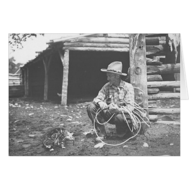 カウボーイの腕時計が付いているコーヒーの缶からの猫の食べ物 (正面横)