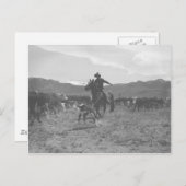 カウボーイはふくらはぎをロープで春ブランディング。 ポストカード (正面/裏面)