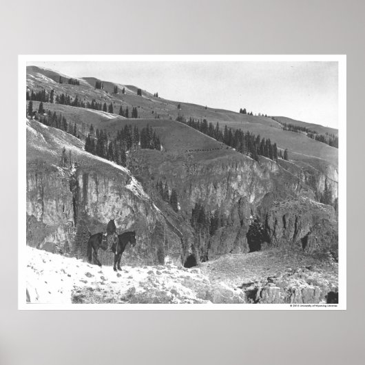 カウボーイは群れを離れた。 ポスター (正面)