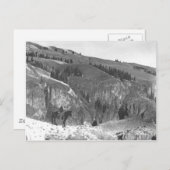 カウボーイは群れを離れた。 ポストカード (正面/裏面)