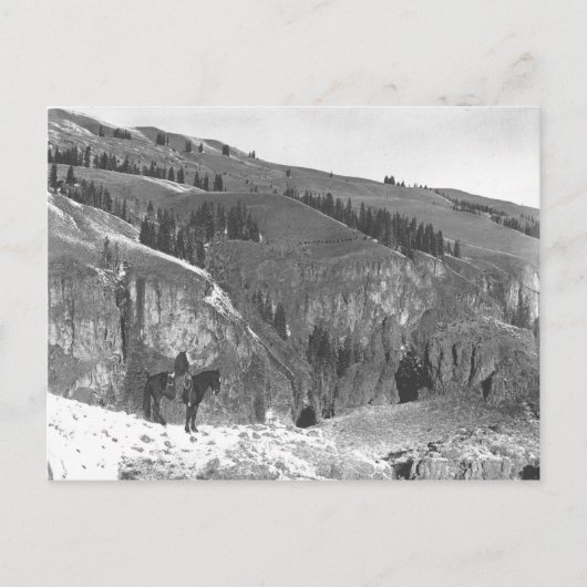 カウボーイは群れを離れた。 ポストカード (正面)