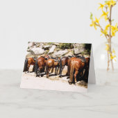 カウボーイアップGet Well Soon Card カード (黄色い花)