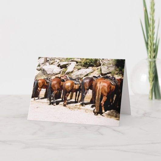 カウボーイアップGet Well Soon Card カード (正面)