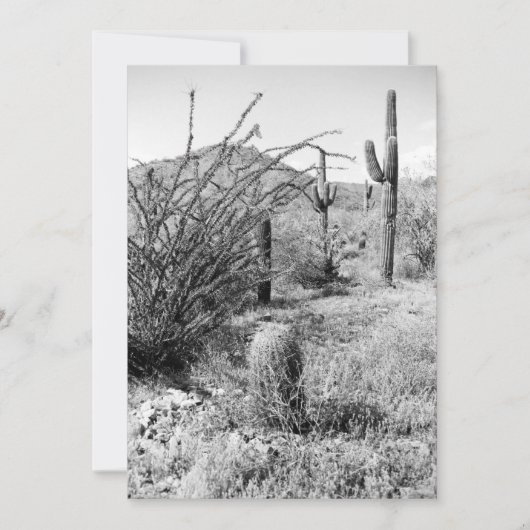 カウボーイガーデン（AZソノラン砂漠）招待状 招待状 (正面)