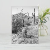 カウボーイガーデン（AZソノラン砂漠）招待状 招待状 (スタンド正面)