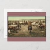 カウボーイズと牛 ポストカード (正面/裏面)