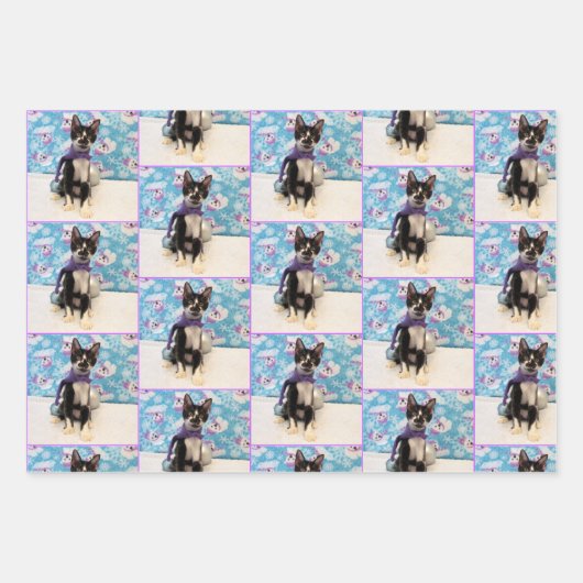 カウボーイズクリスマス猫と子猫の包み紙  ラッピングペーパーシート (正面2)