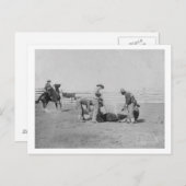 カウボーイズブランディングアカーフ写真サウスダコタ ポストカード (正面/裏面)